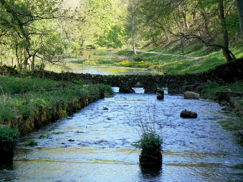 Bradford Dale Bradford Dale